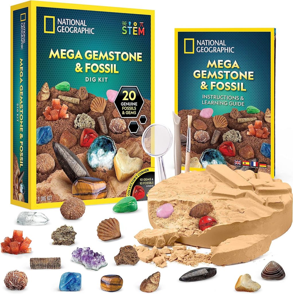 fossil and gemstone kit
