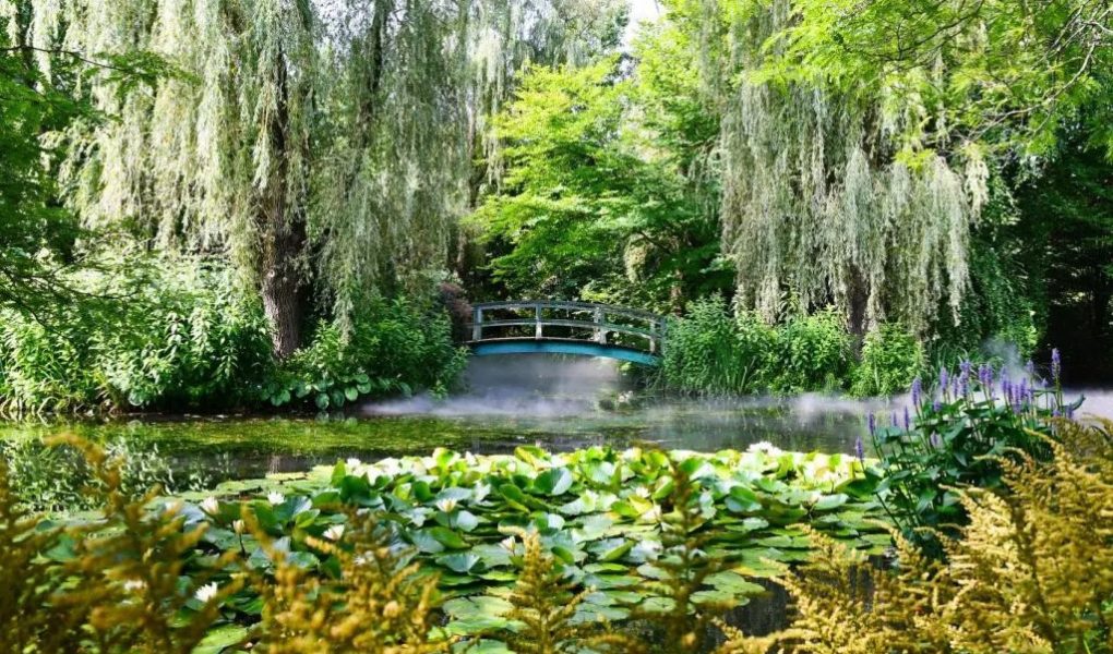 Top Botanical Gardens in JerseyTop Botanical Gardens in Jersey