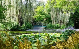 Top Botanical Gardens in JerseyTop Botanical Gardens in Jersey