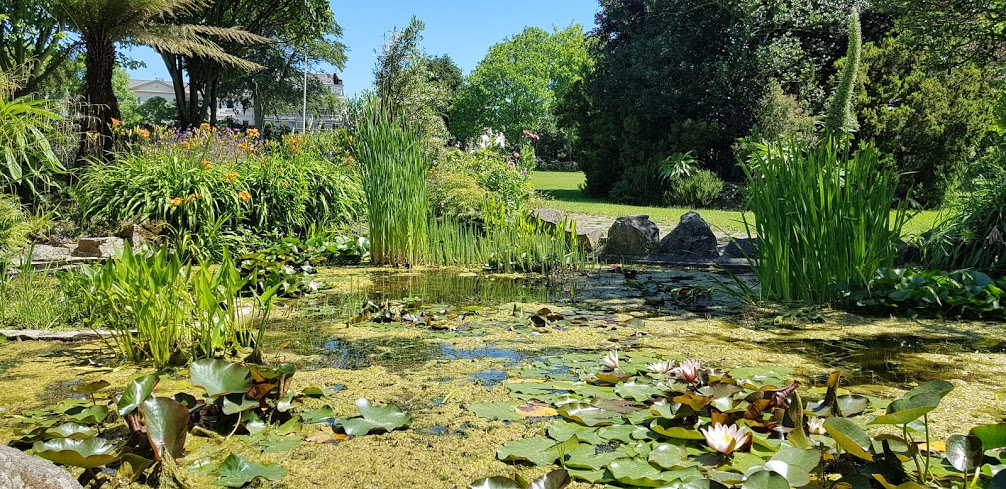 Picturesque Parks and Gardens in Jersey: A Guide to the Island's ...